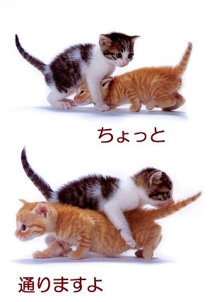 「ちょっと通りますよ」