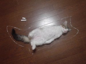 「事件現場」